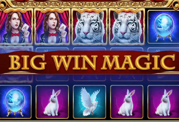 Immagine rappresentativa dell'esperienza di gioco su TL Casino 317: Accedi Qui.