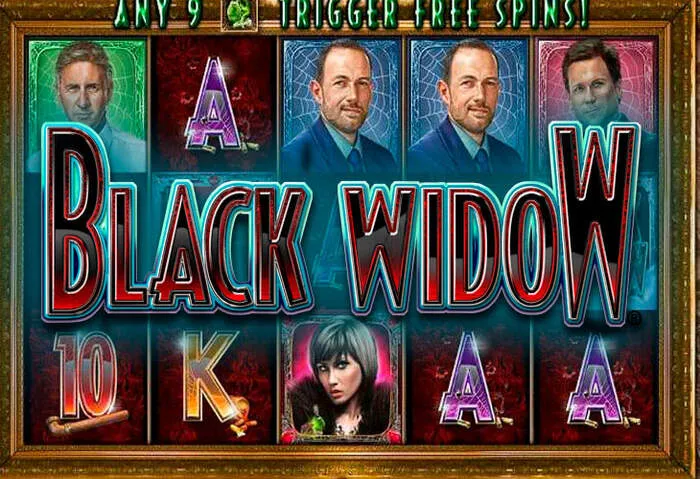 Facile TL Casino Connexion pour Machines à Sous et Live Dealer.