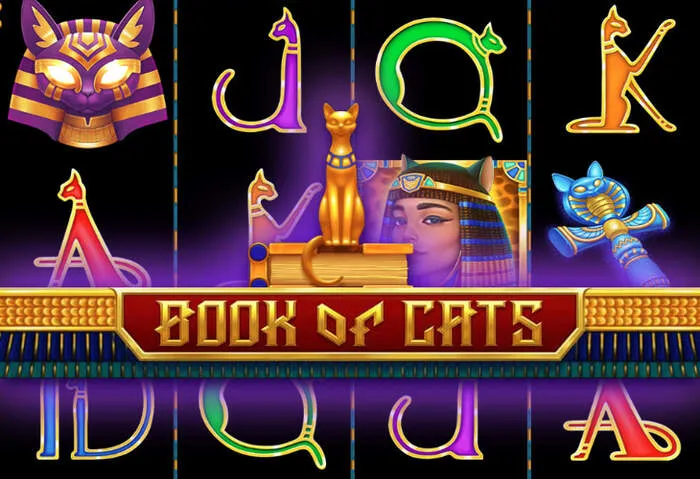 Homepage aggiornata del Codice Senza Deposito e Bonus TL Casino.