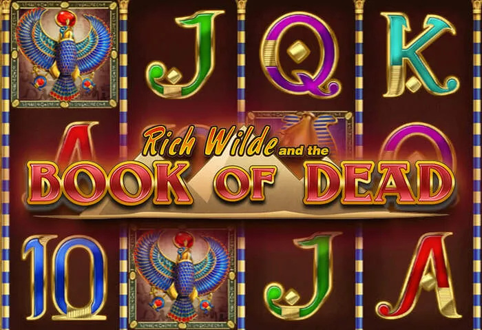 Immagine rappresentativa dell'esperienza di gioco su TL Casino 317: Accedi Qui.