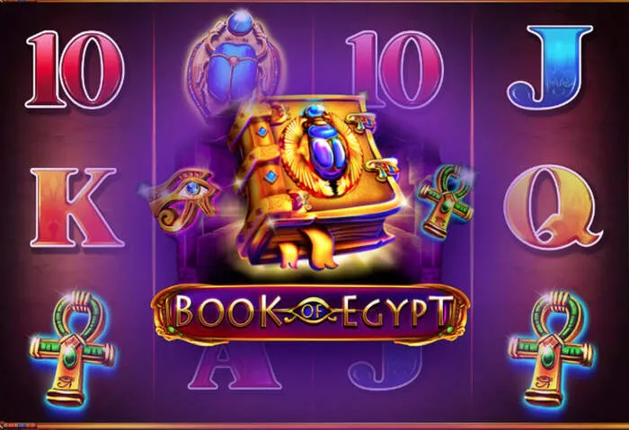 TL Casino 295 – Die offizielle Plattform für Online-Glücksspiel und attraktive Boni.